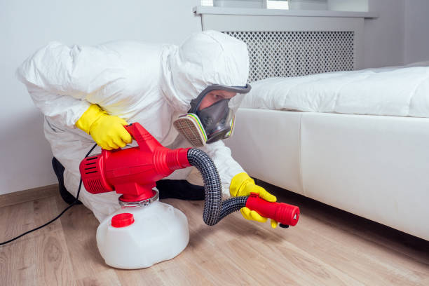 Best Bed Bug Extermination  in Mount Morris, IL